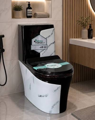 Modern toilets